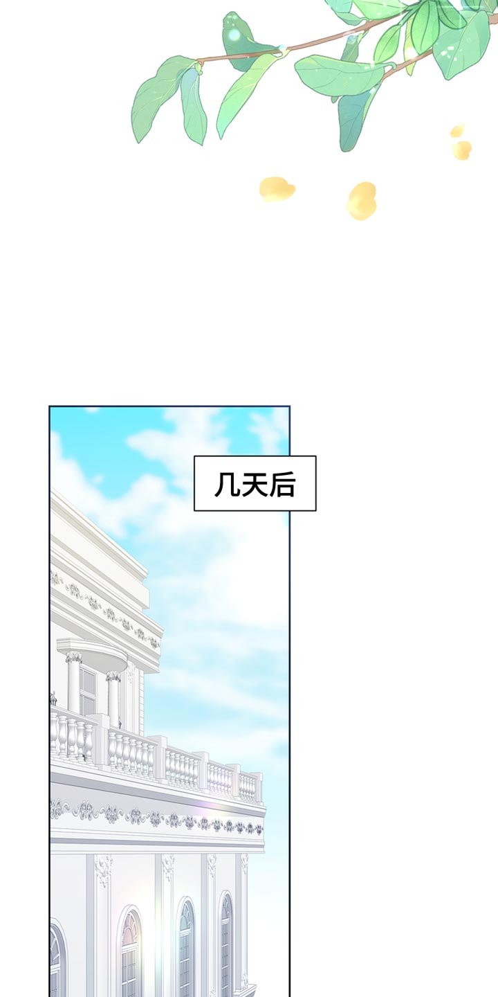 第49章：一个愿望