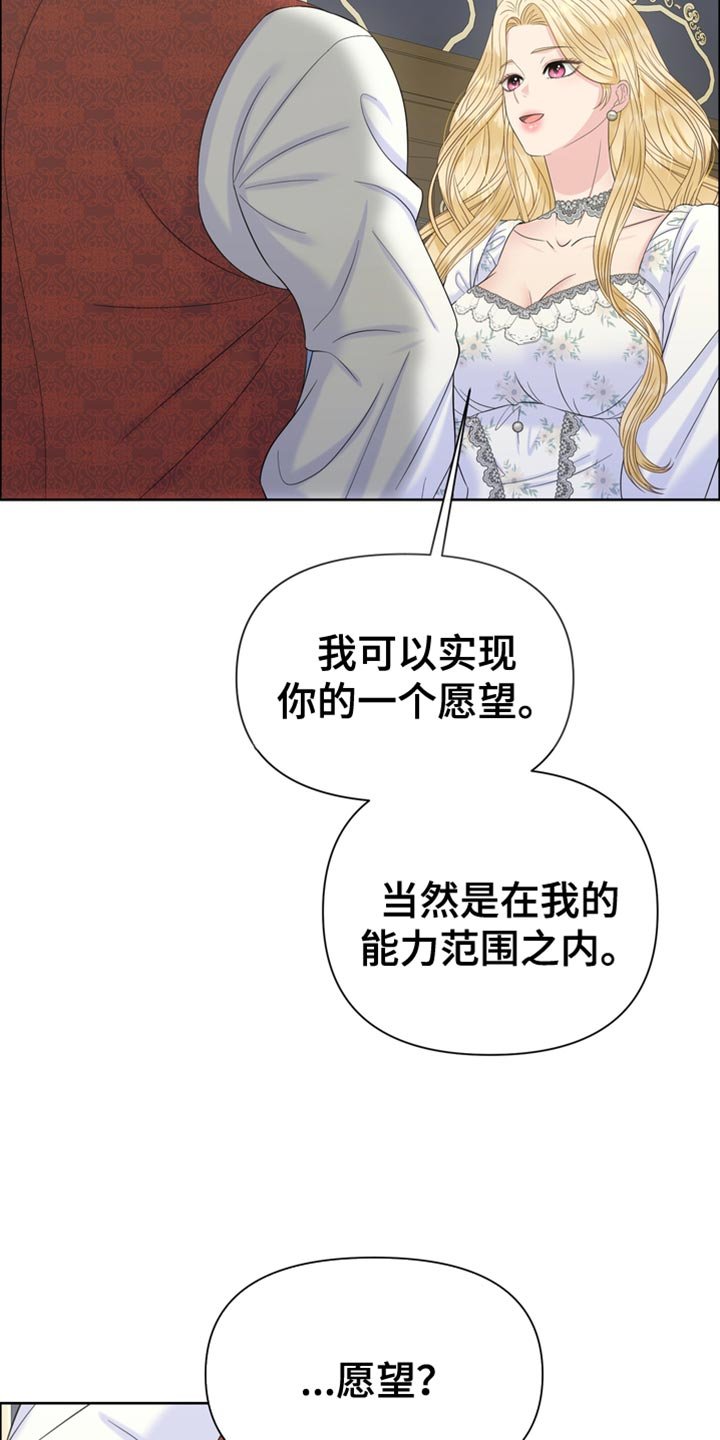 第49章：一个愿望