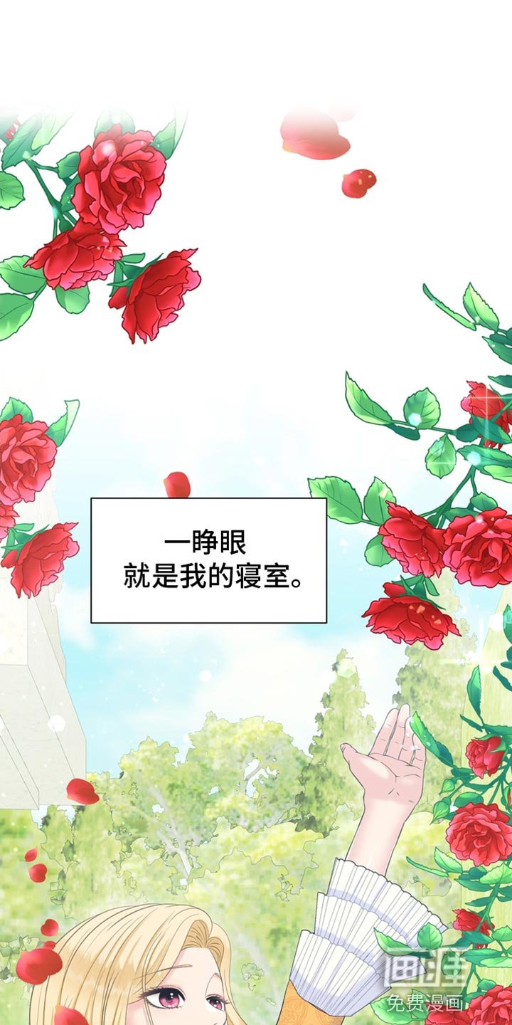 第51章：我的副官