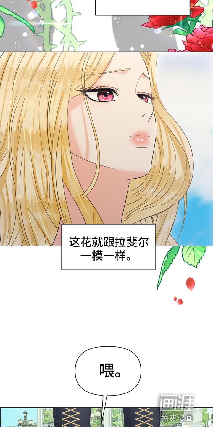 第51章：我的副官