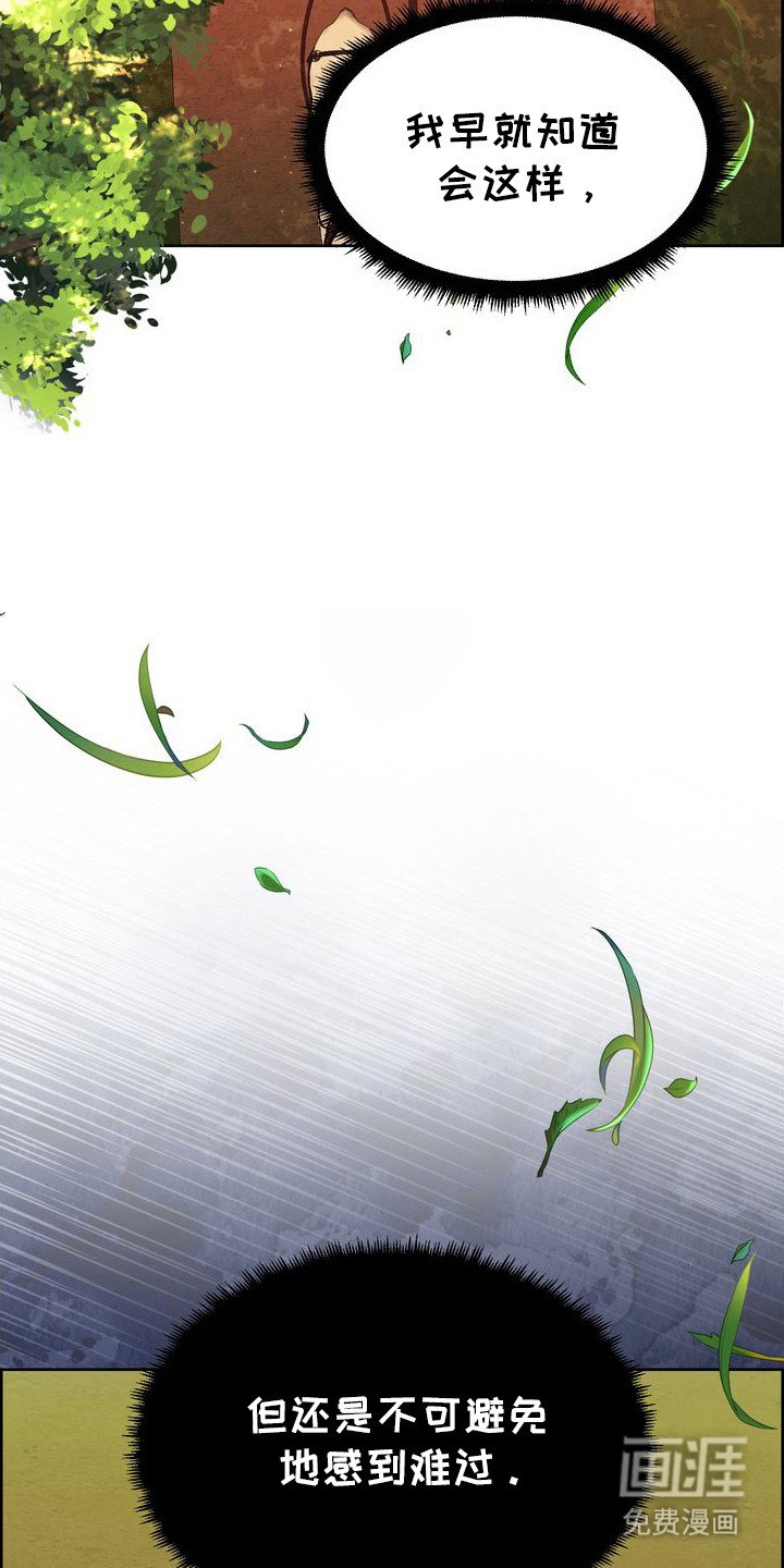第65章：舞会