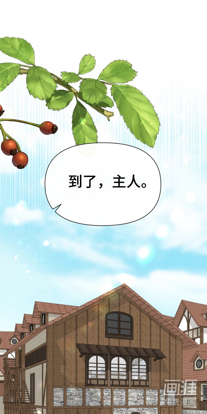 第91章：温室花朵