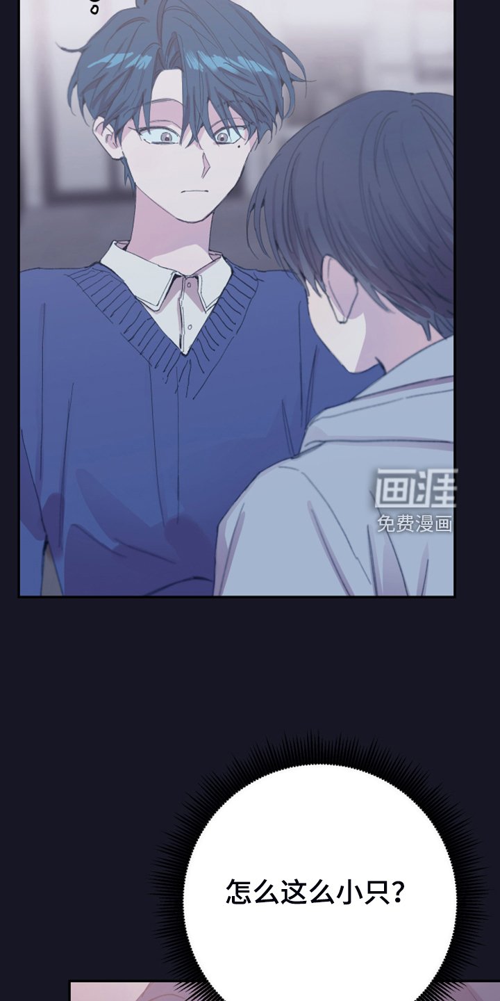 第16章：免费劳动力