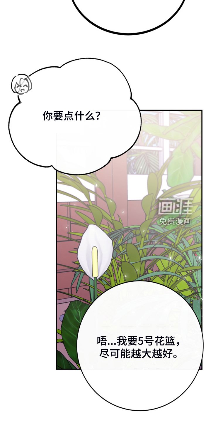 第22章：明年的礼物