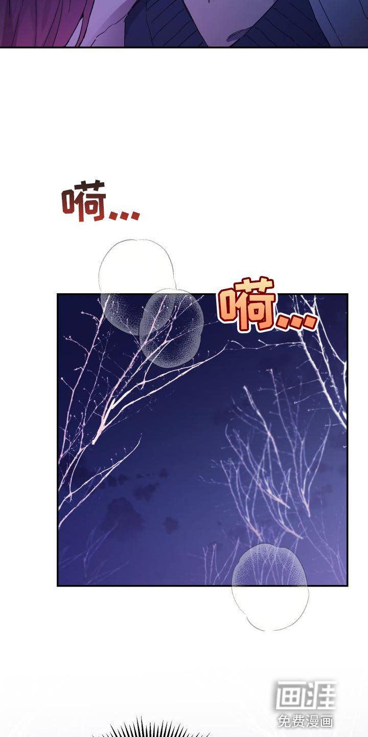 第65章：你是我的全部