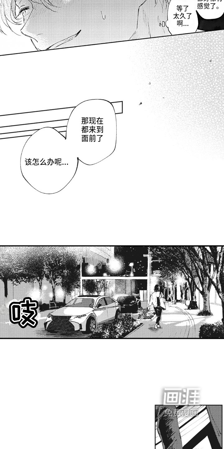 第13章：关注