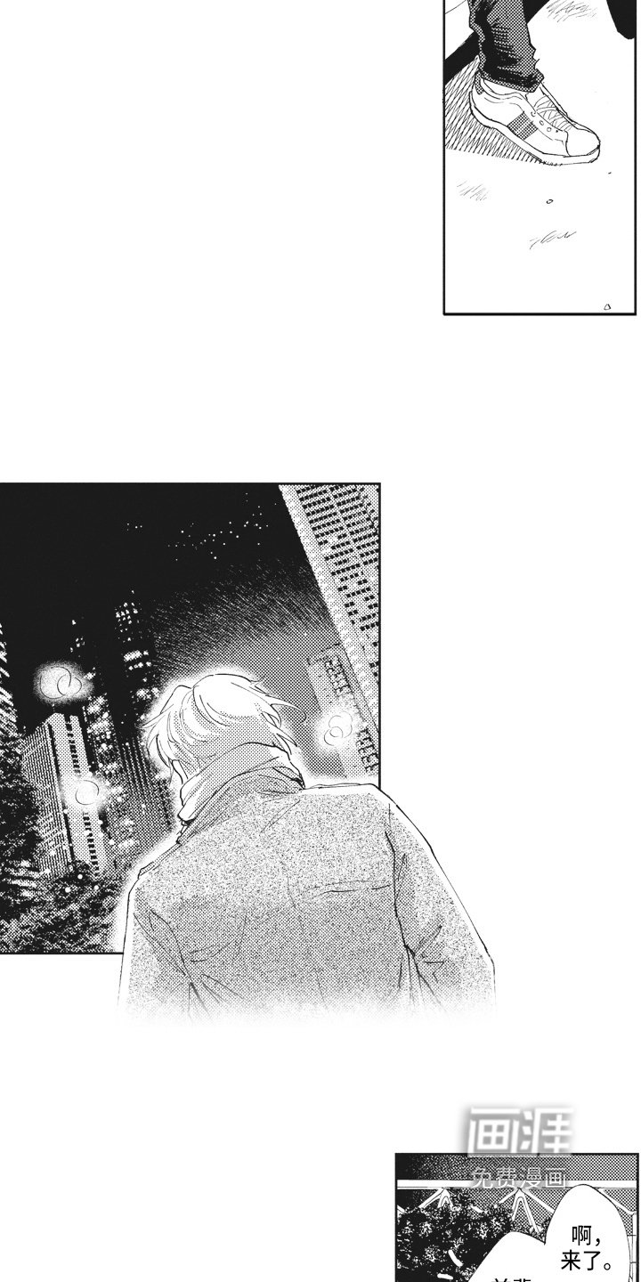 第13章：关注