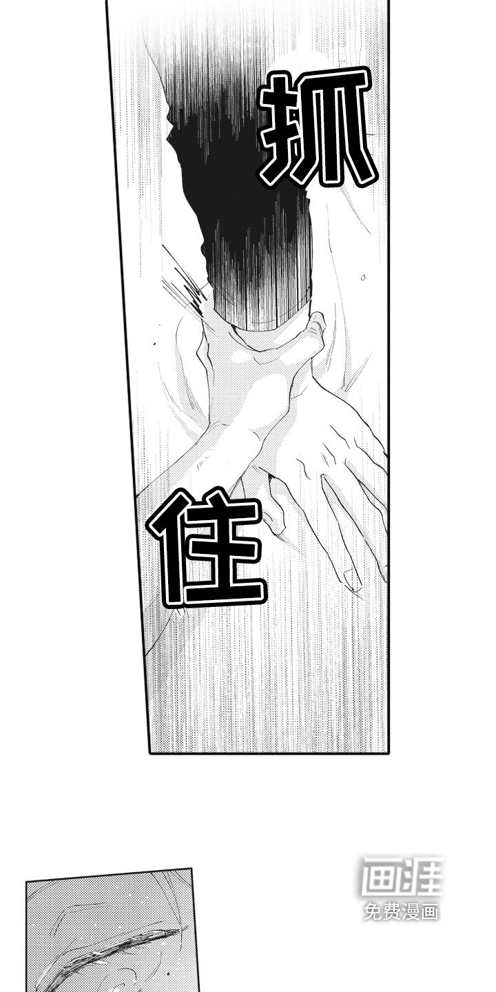 第15章：期待