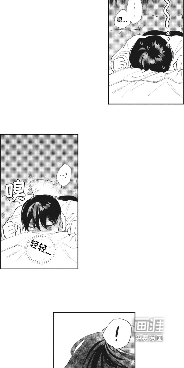 第16章：反思
