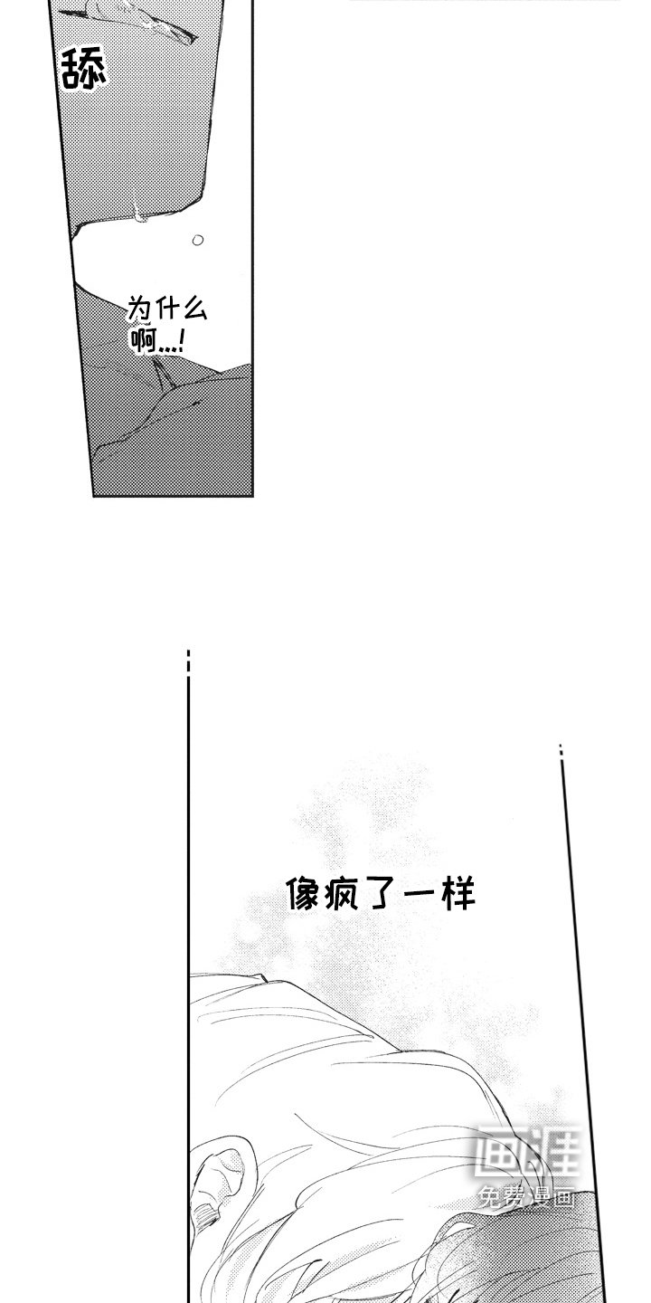 第19章：好消息
