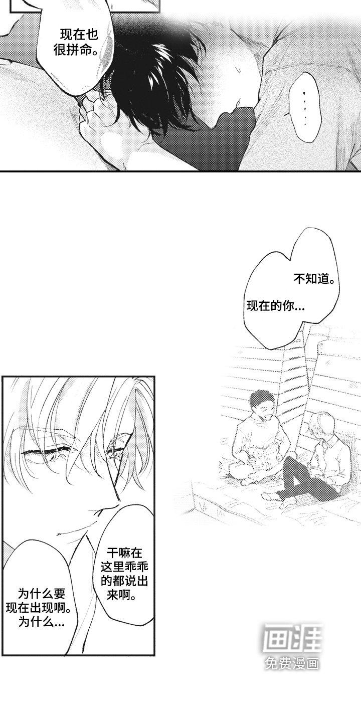 第26章：傻瓜