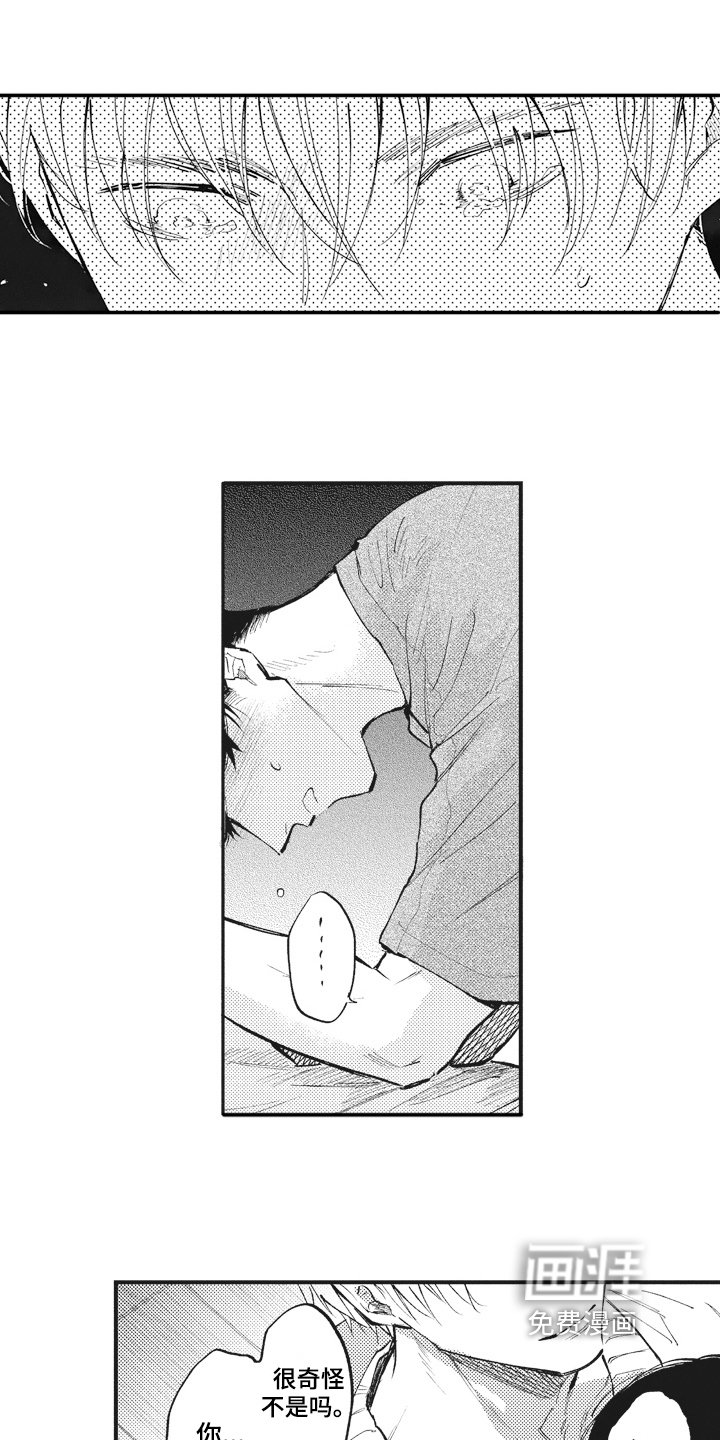 第26章：傻瓜
