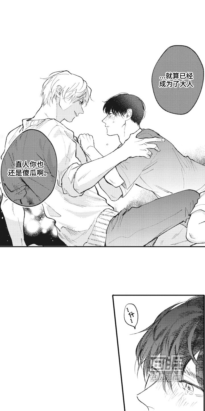 第26章：傻瓜