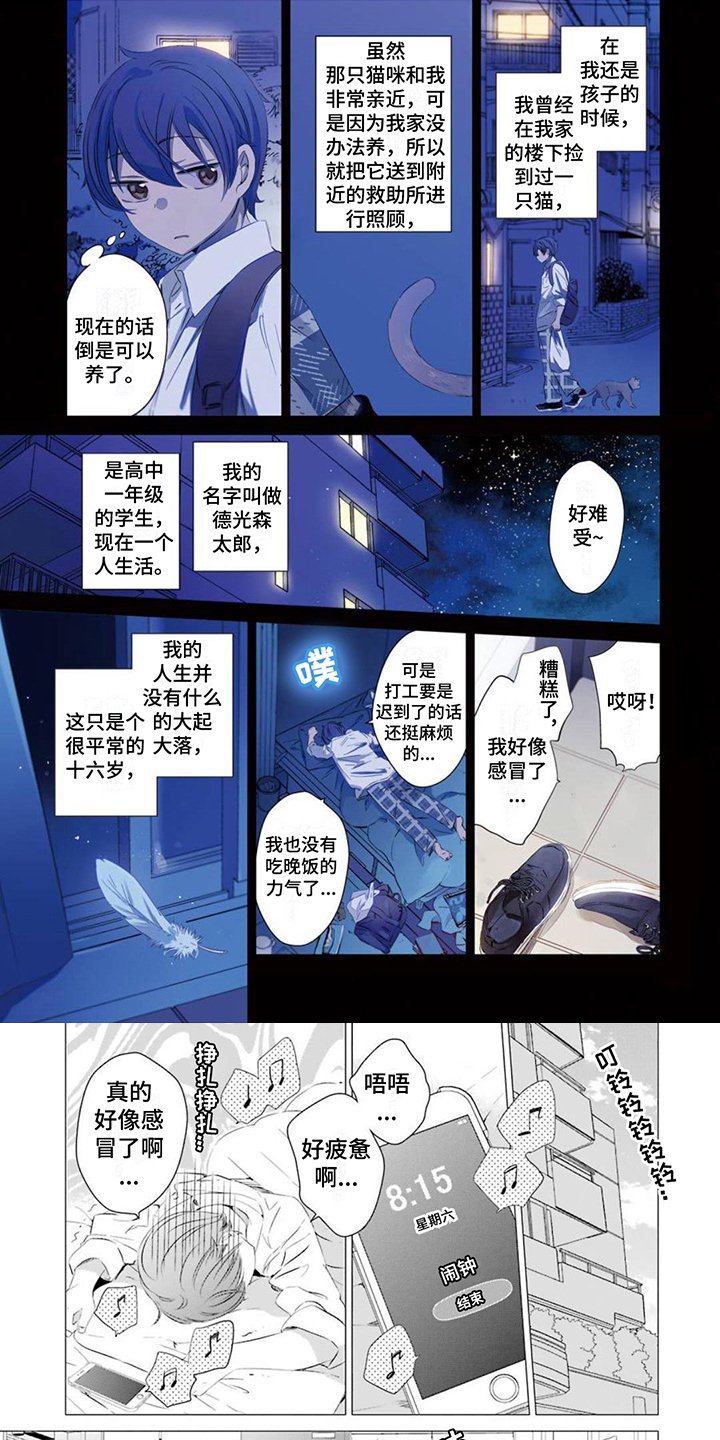 第1章：天降少女