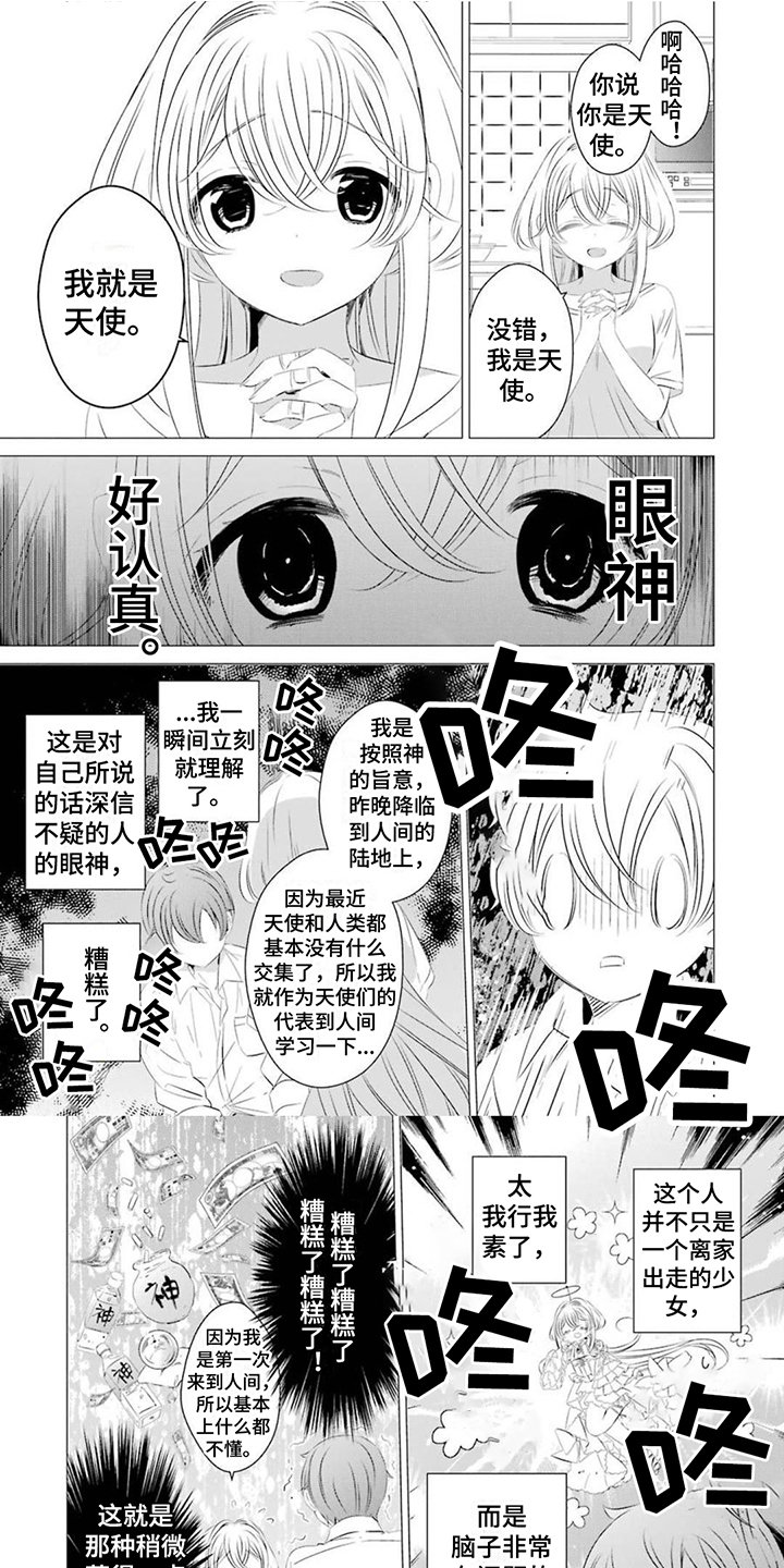 第3章：单纯