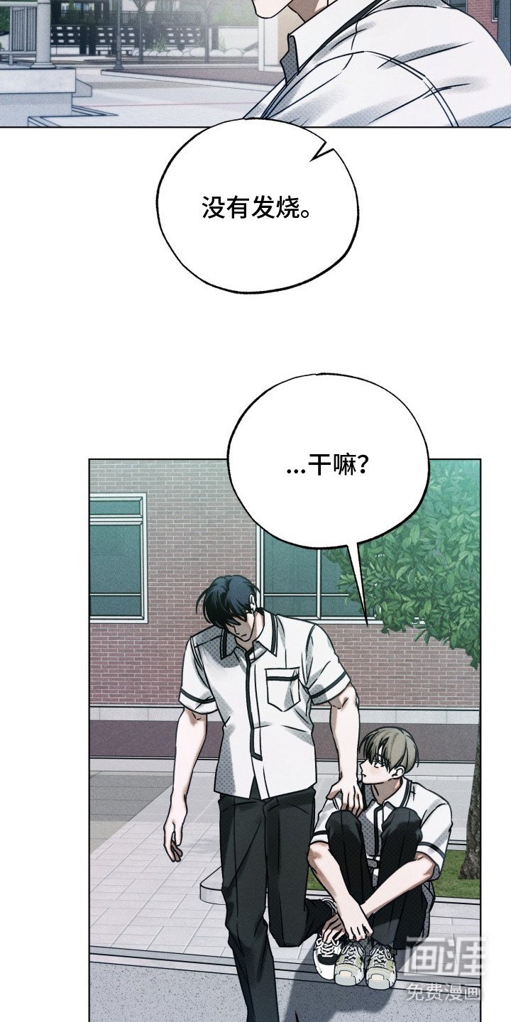 第19章：区别