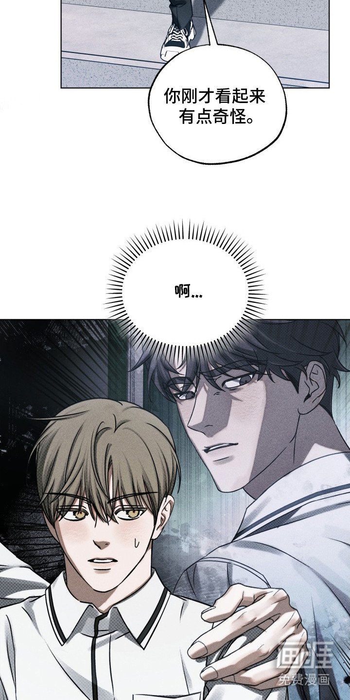 第19章：区别