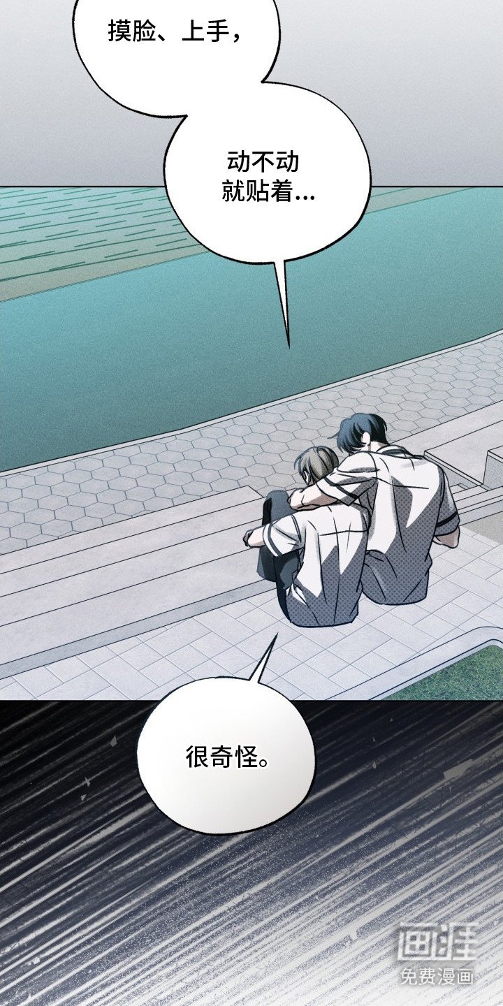 第19章：区别