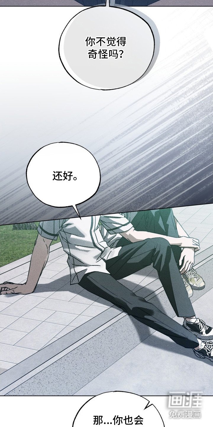 第19章：区别