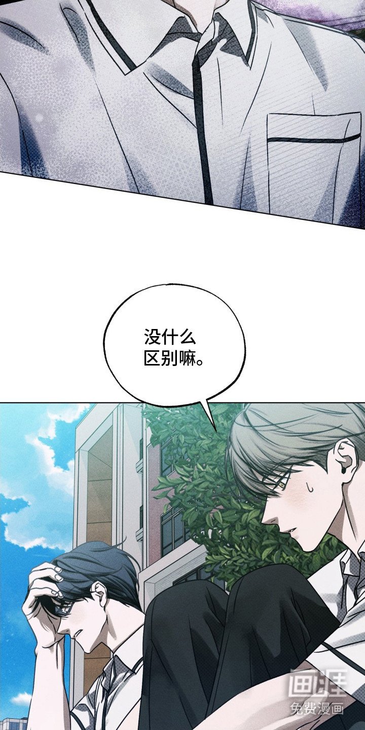 第19章：区别