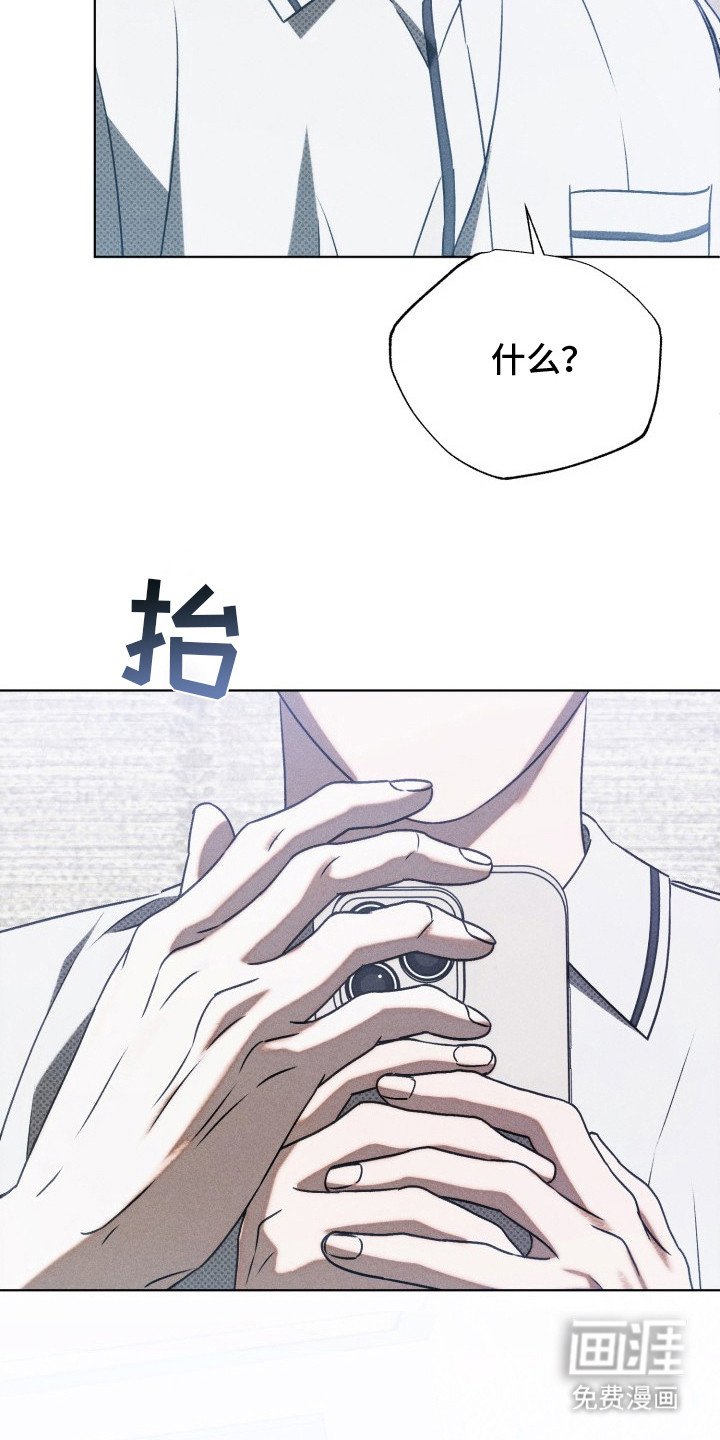 第25章：单纯的类型
