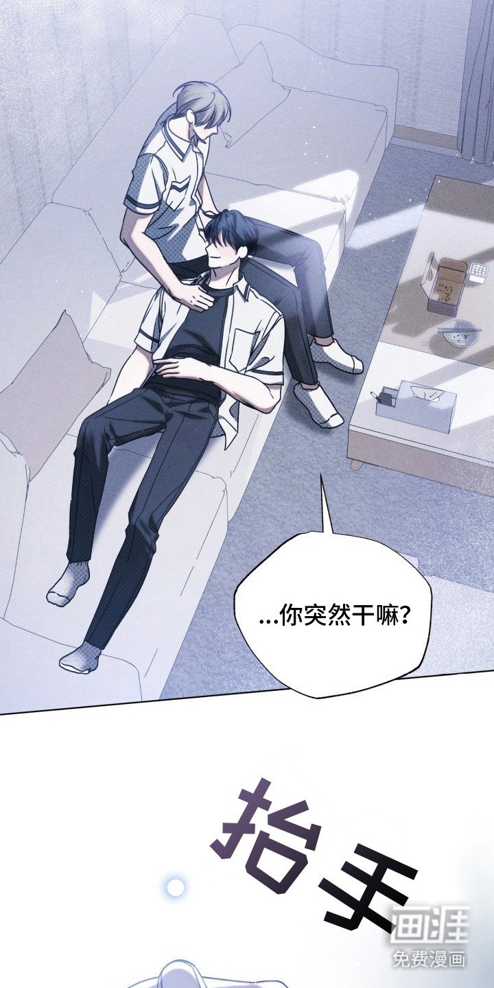 第25章：单纯的类型
