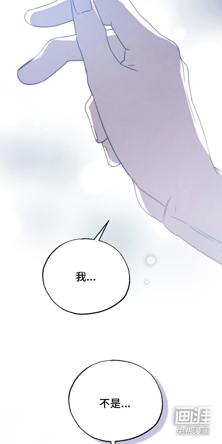 第25章：单纯的类型