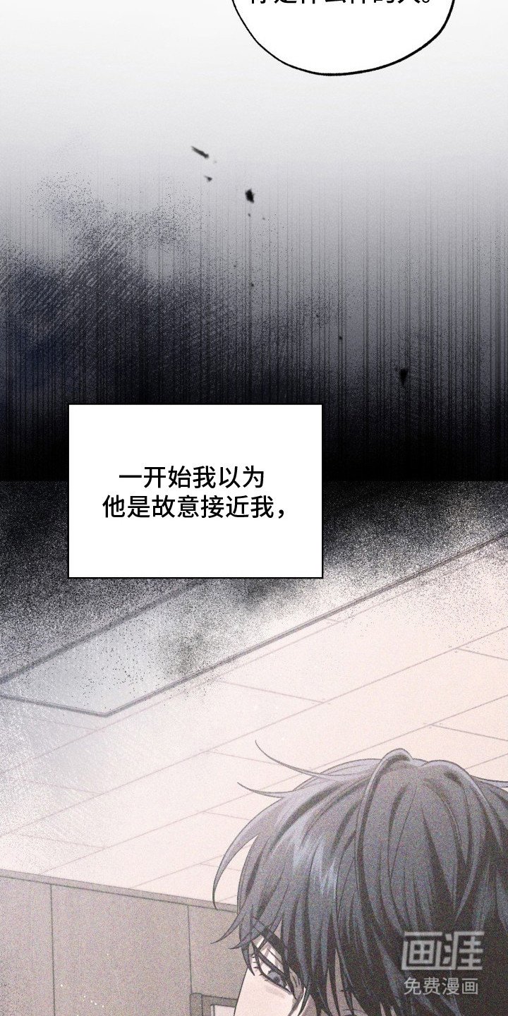 第25章：单纯的类型