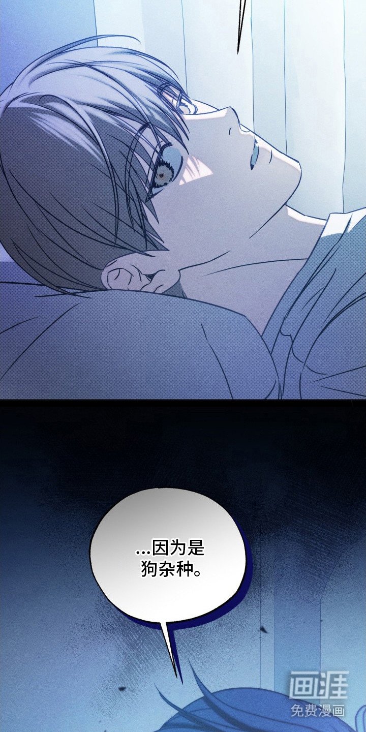 第29章：他干的