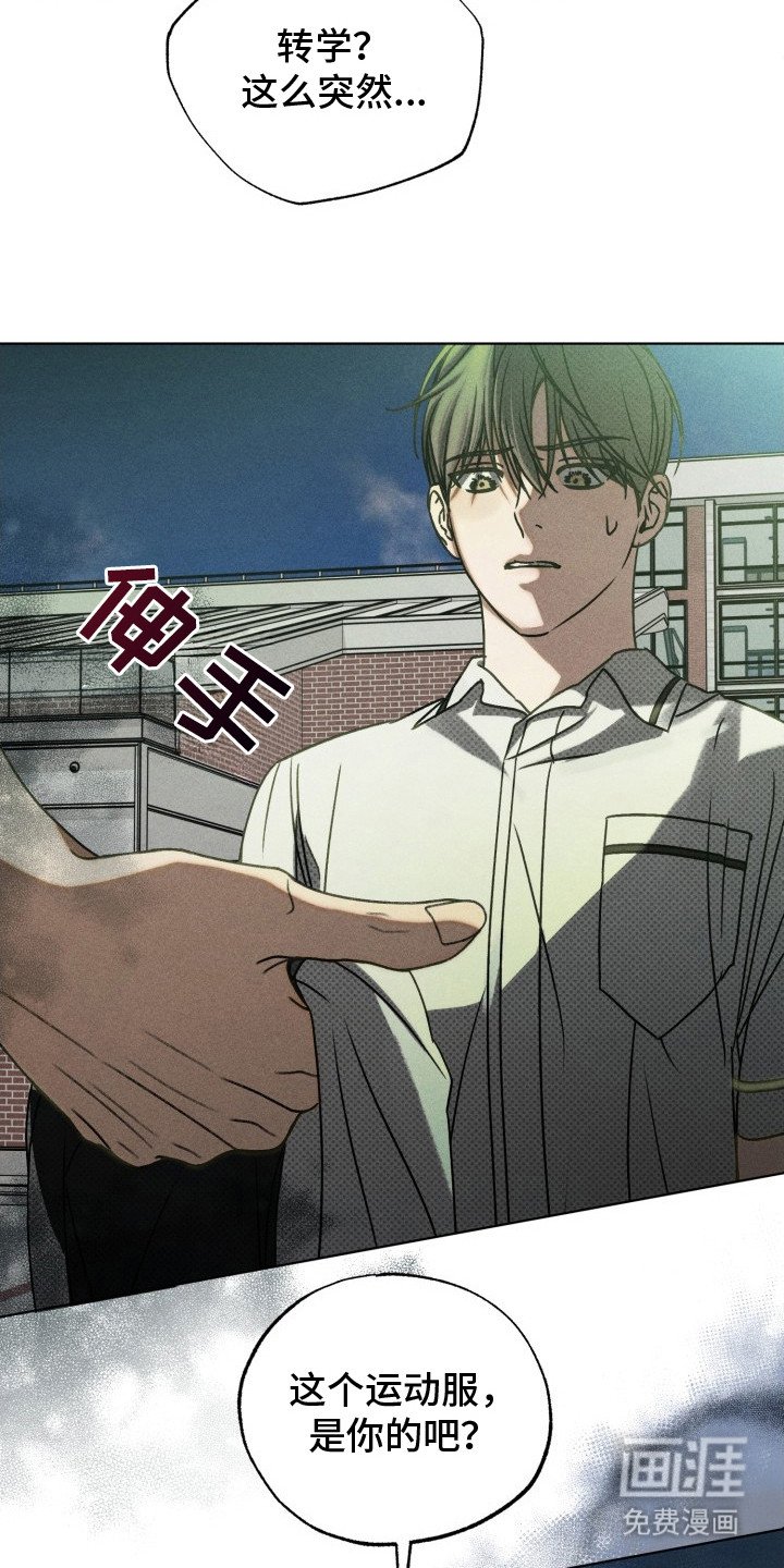 第29章：他干的