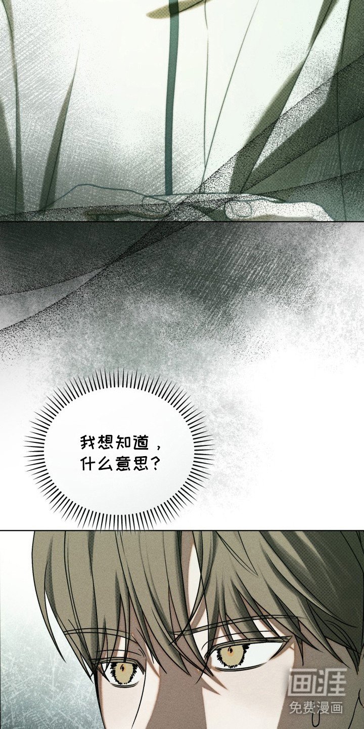 第29章：他干的