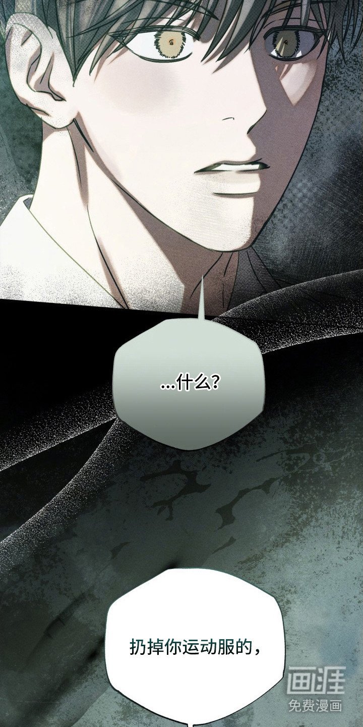 第29章：他干的