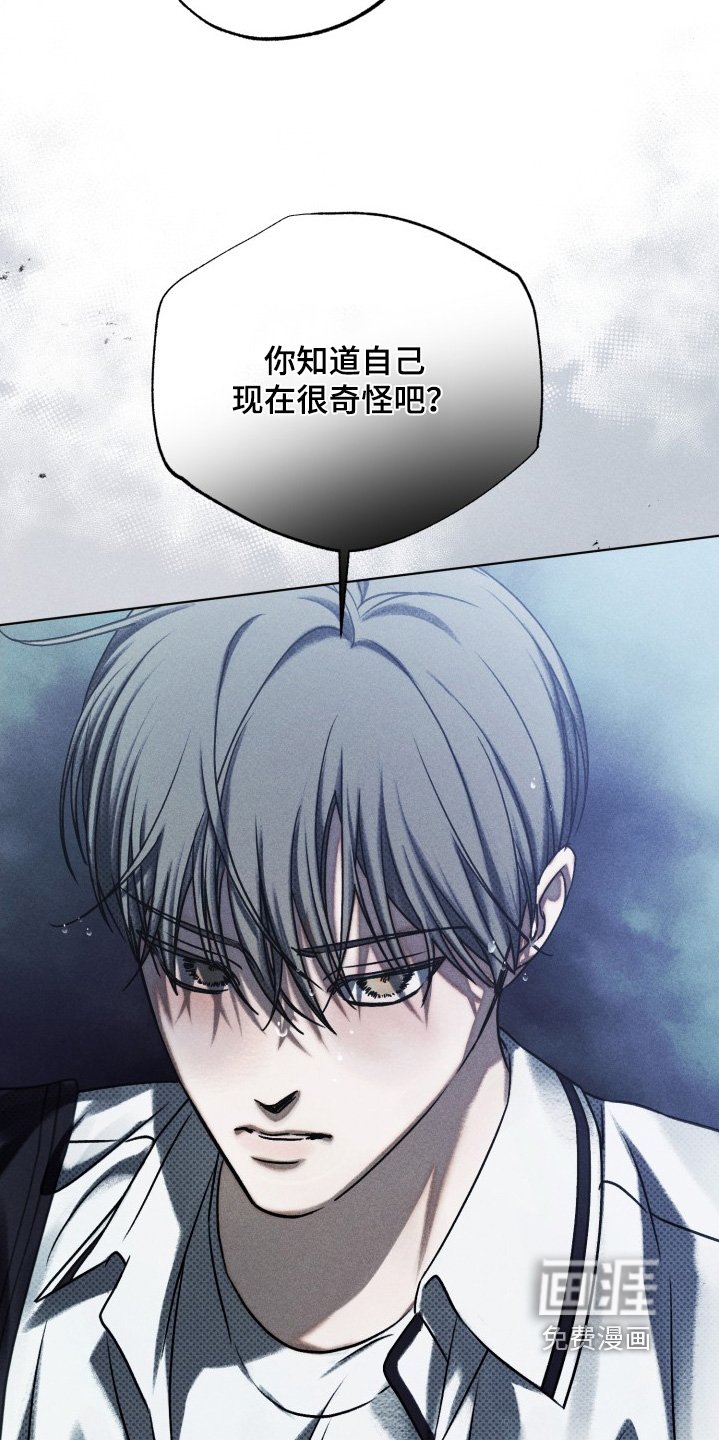 第33章：我送你