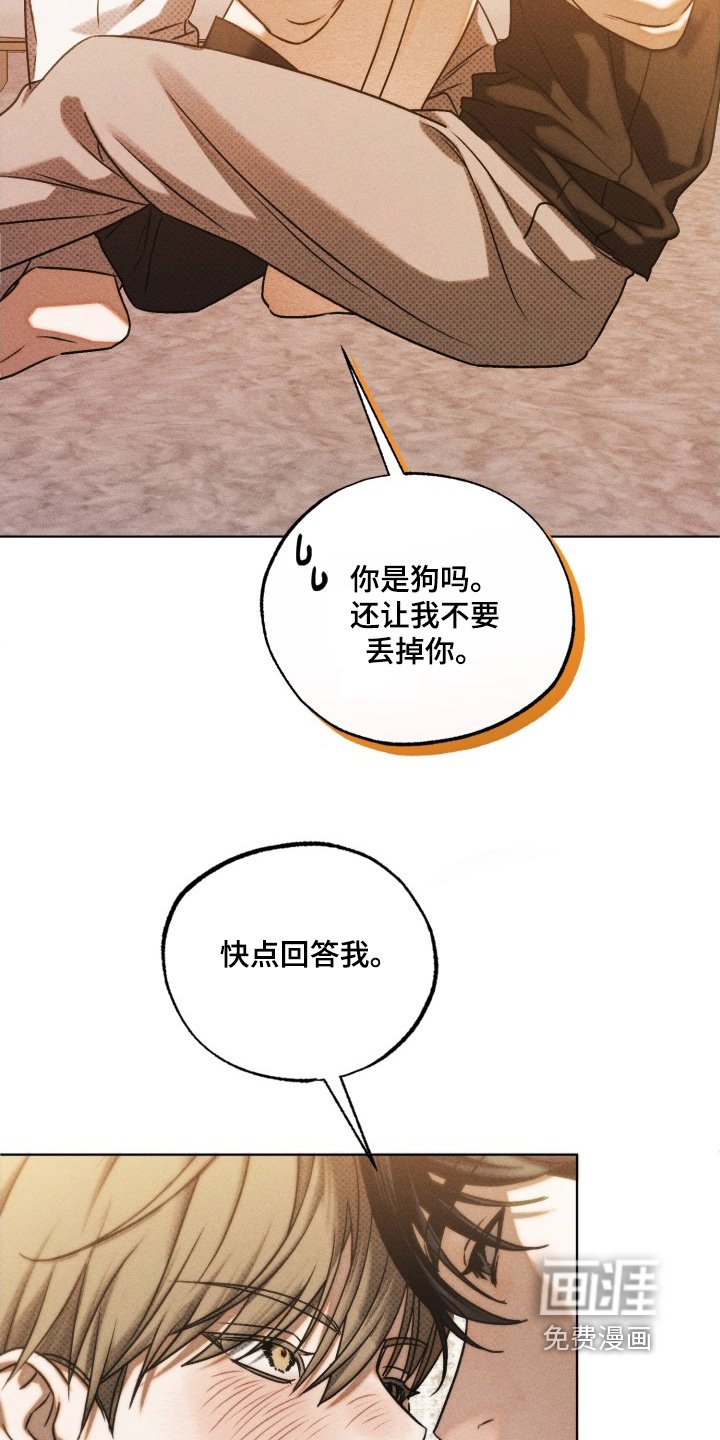 第52章：我也是喜欢你