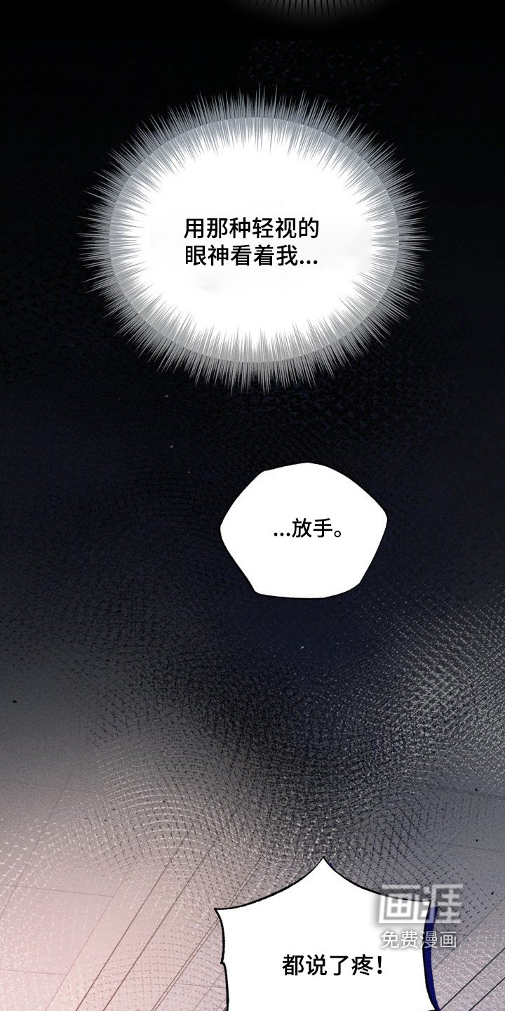 第60章：由我决定