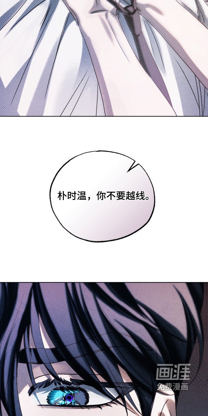 第60章：由我决定