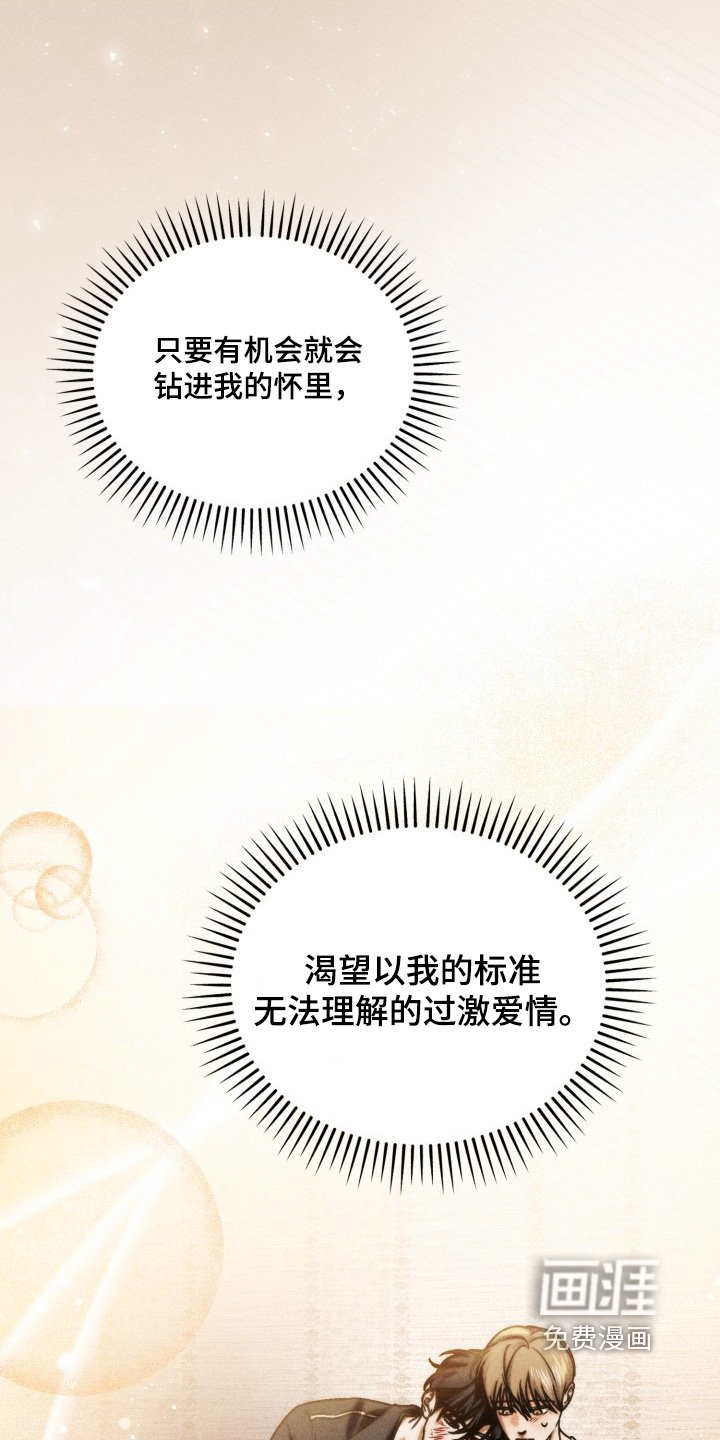 第62章：讨厌你