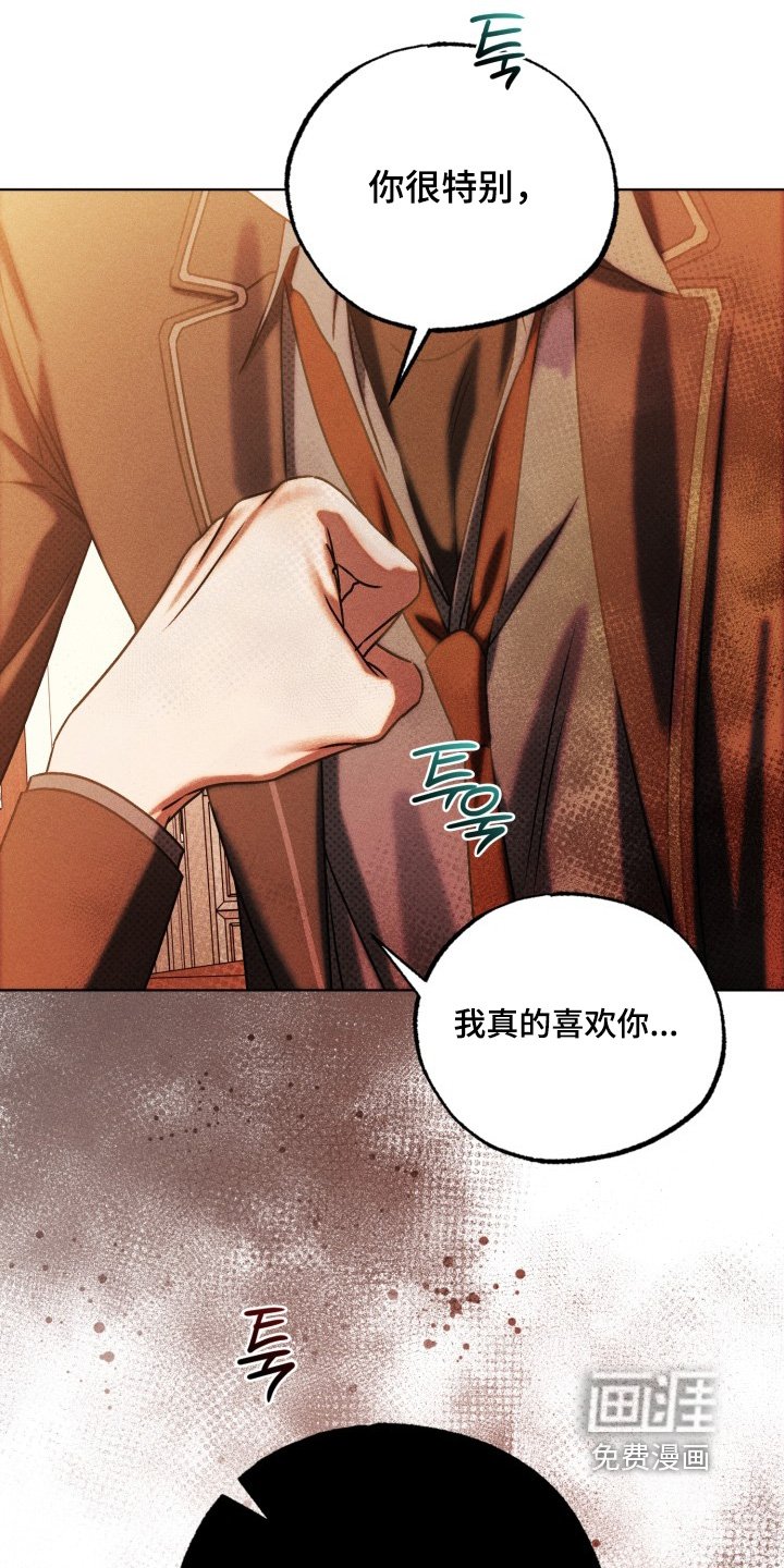 第70章：真的喜欢你