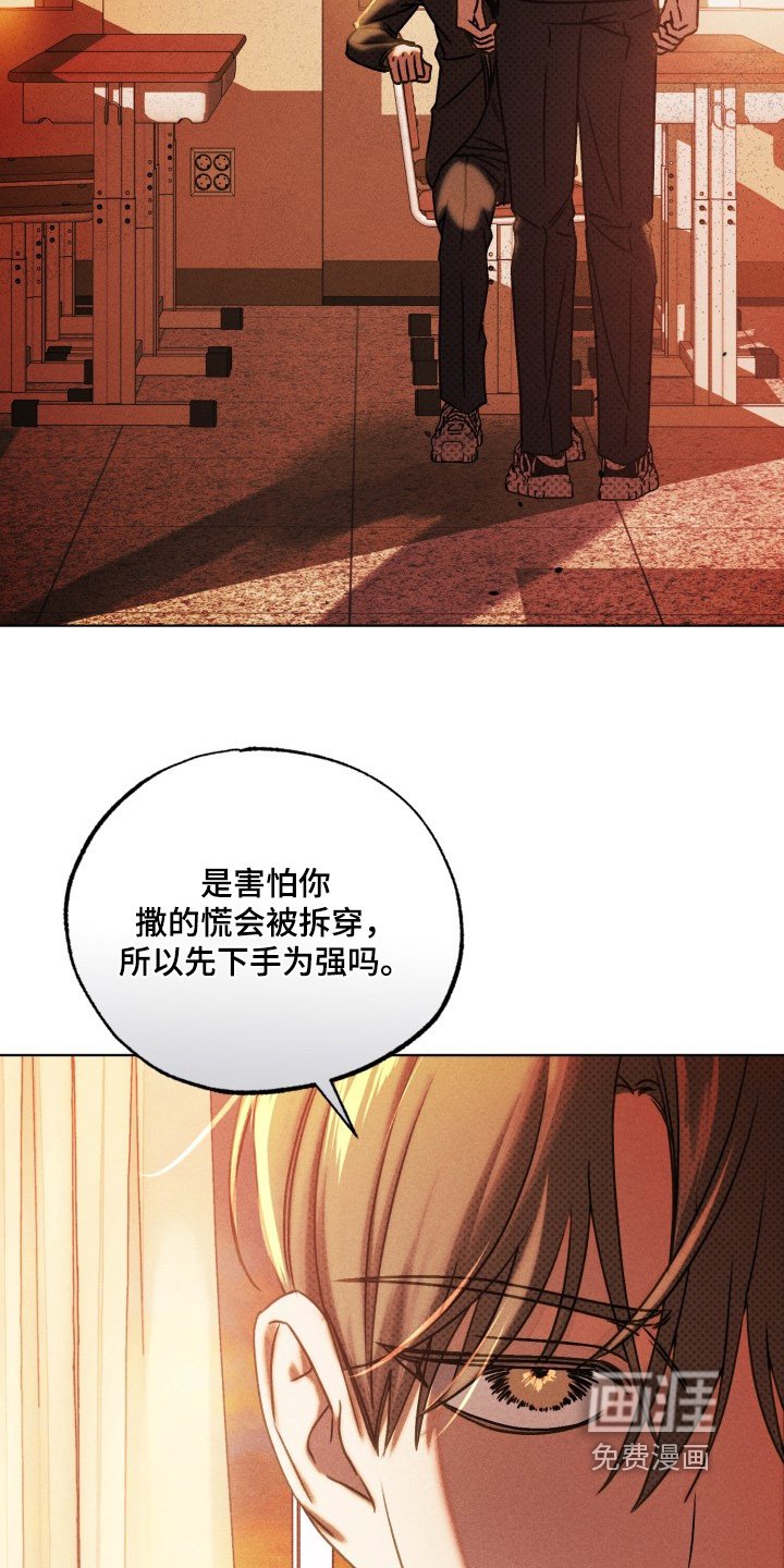 第70章：真的喜欢你