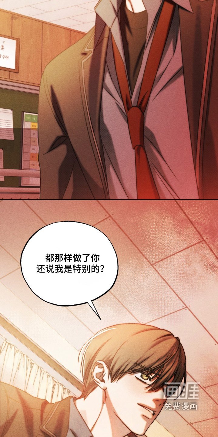 第70章：真的喜欢你