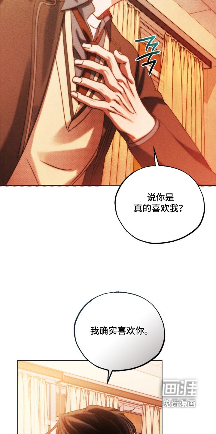 第70章：真的喜欢你