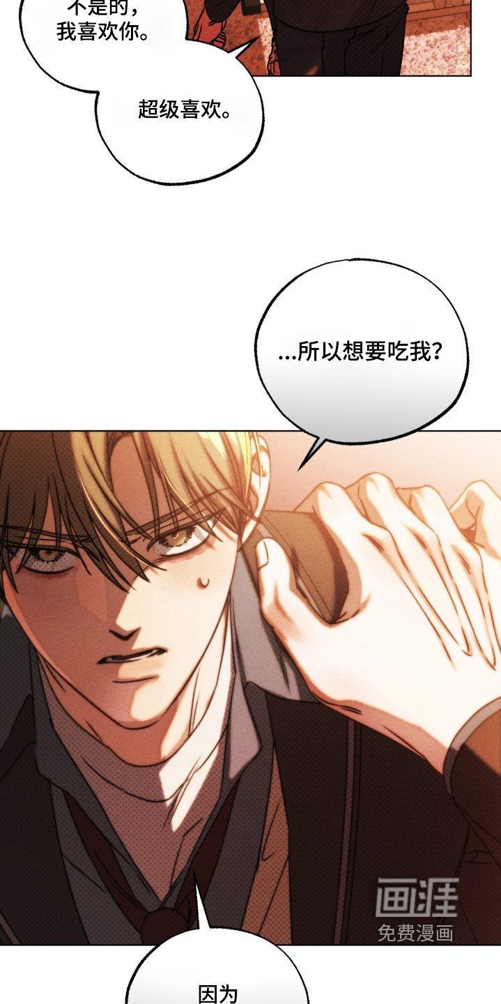 第70章：真的喜欢你