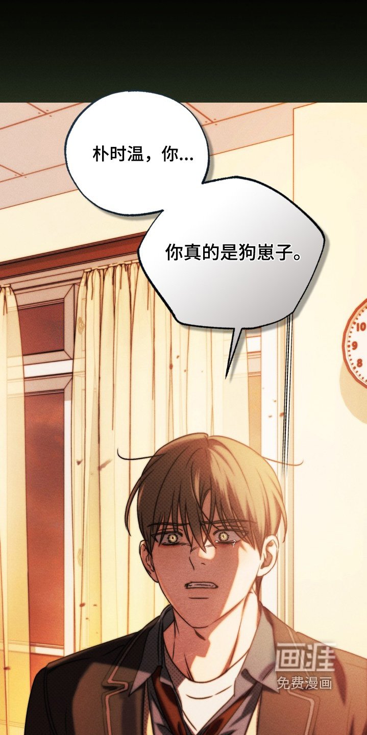 第70章：真的喜欢你