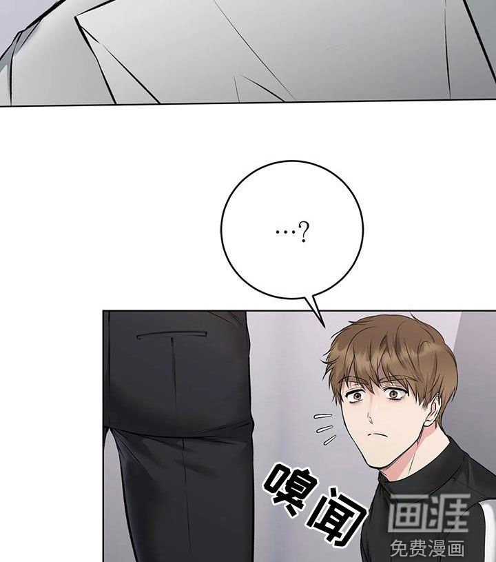第17章：陷阱