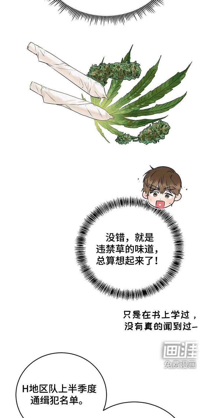 第17章：陷阱