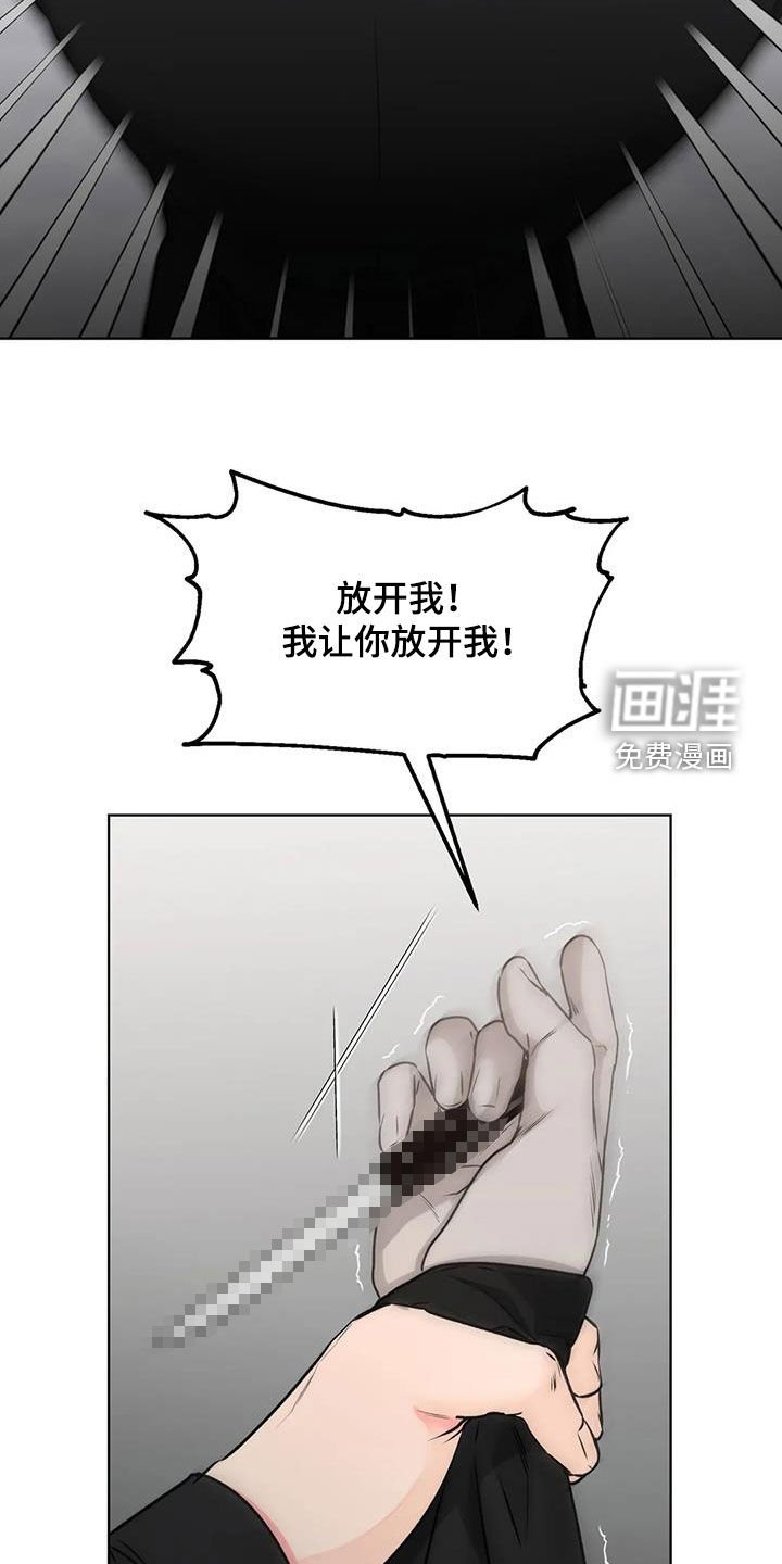 第43章：刺杀