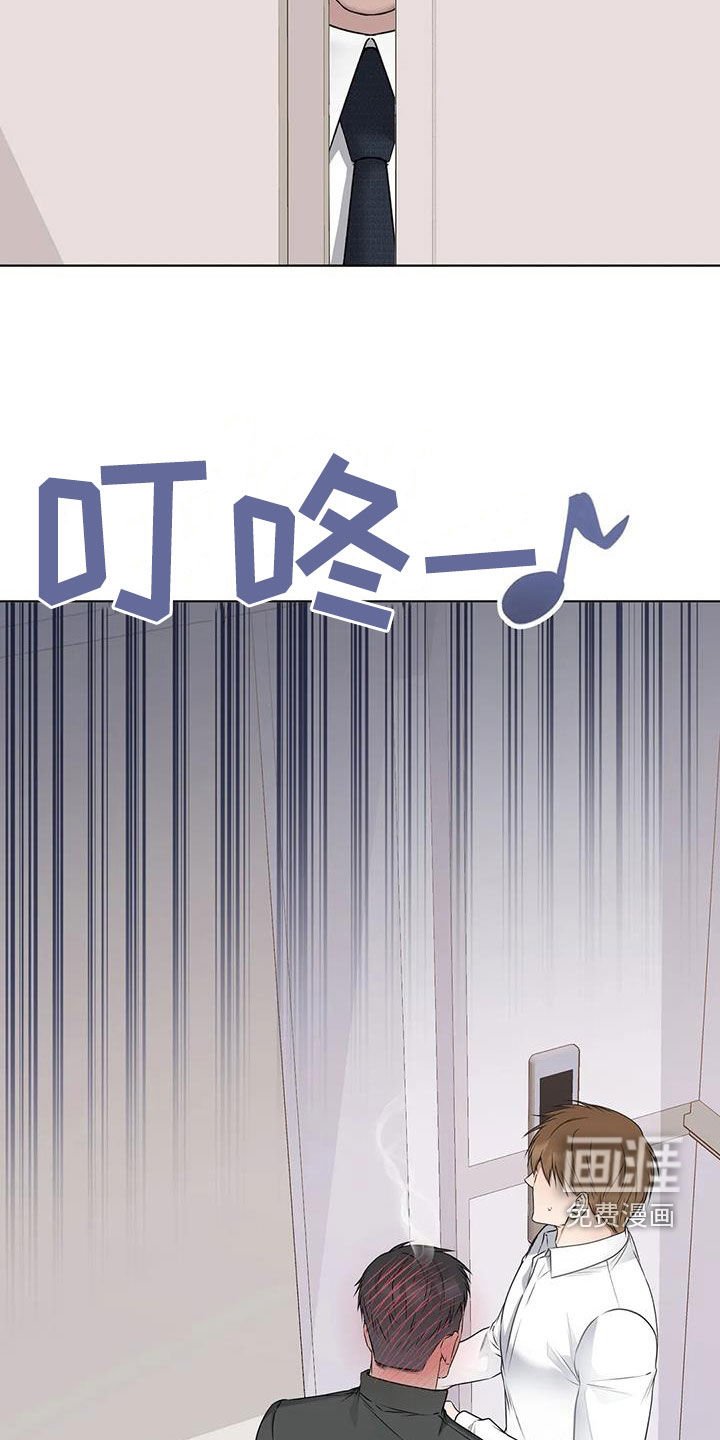 第44章：偶遇