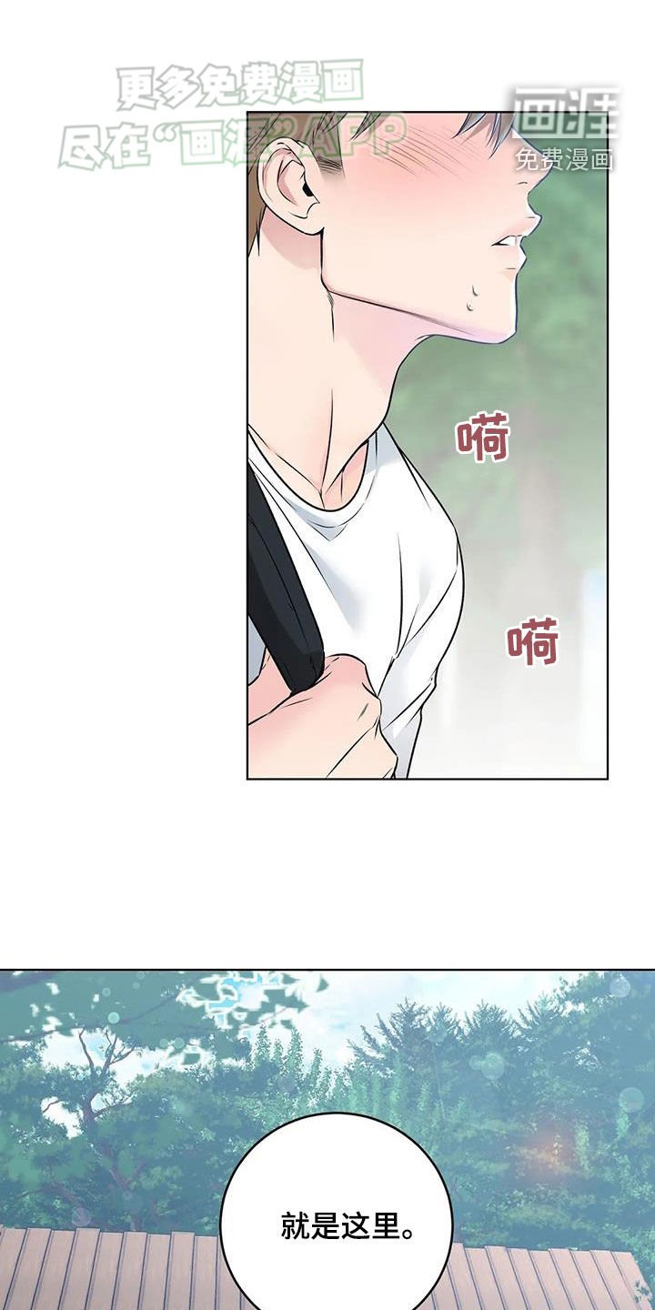 第53章：迷茫