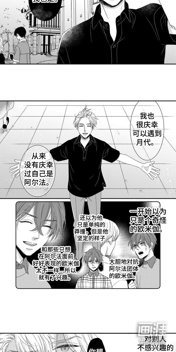 第15章：摊牌