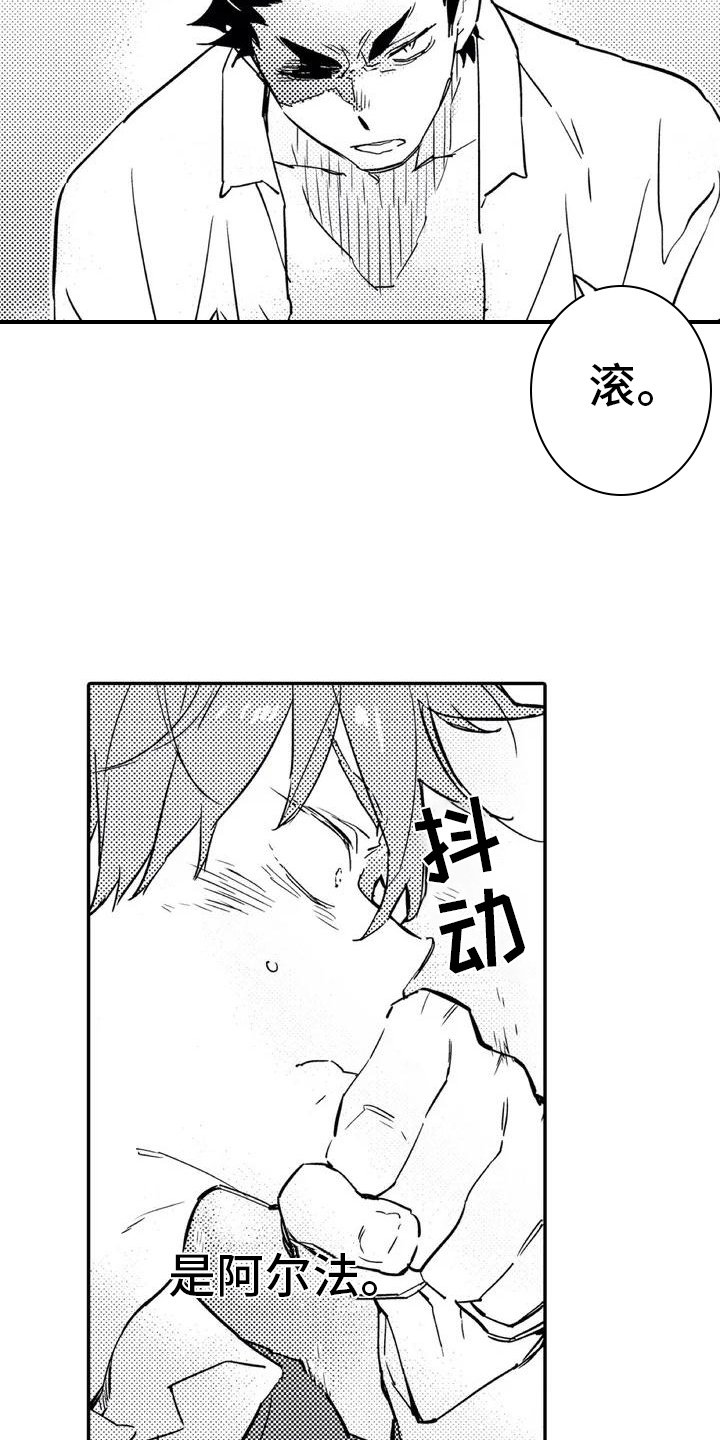 第1章：归属